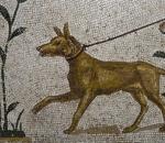Γεωργιανής καταγωγής το αρχαιότερο κυνηγόσκυλο του κόσμου