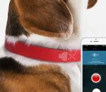 Επικοινωνία με τον σκύλο σας με το Kyon Tracker