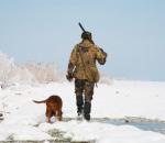Απαγορεύσεις κυνηγιού σε χιονισμένες εκτάσεις 