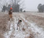 Απαγόρευση Κυνηγιού σε περίοδο χιονοπτώσεων