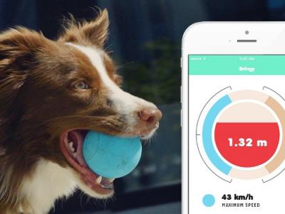H Bringy είναι μια έξυπνη μπάλα για τον σκύλο σας 