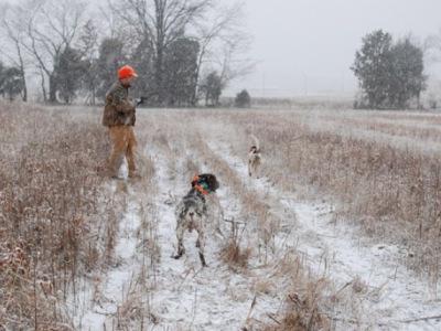Απαγόρευση Κυνηγιού σε περίοδο χιονοπτώσεων